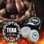 TERA STRONG（テラストロング）