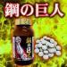 鋼の巨人（ハガネノキョジン）