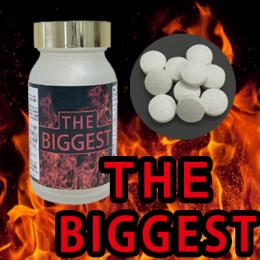 THE BIGGEST（ザ ビゲスト）送料弊社負担