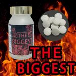 THE BIGGEST（ザ ビゲスト）送料無料3個セット