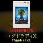 YggdradyX（ユグドラディＸ）