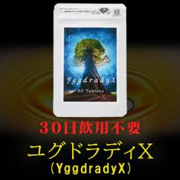 YggdradyX（ユグドラディＸ）