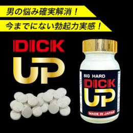 ＤＩＣＫ ＵＰ（ディックアップ）送料無料3個セット