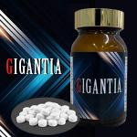 GIGANTIA（ギガンティア）