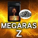 MEGARAS Z（メガラスゼット）
