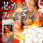巨硬丸（きょこうがん）【10/18(土)昼12時まで送料０円サービス開催中！】