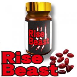 Rise Beast（ライズビースト）