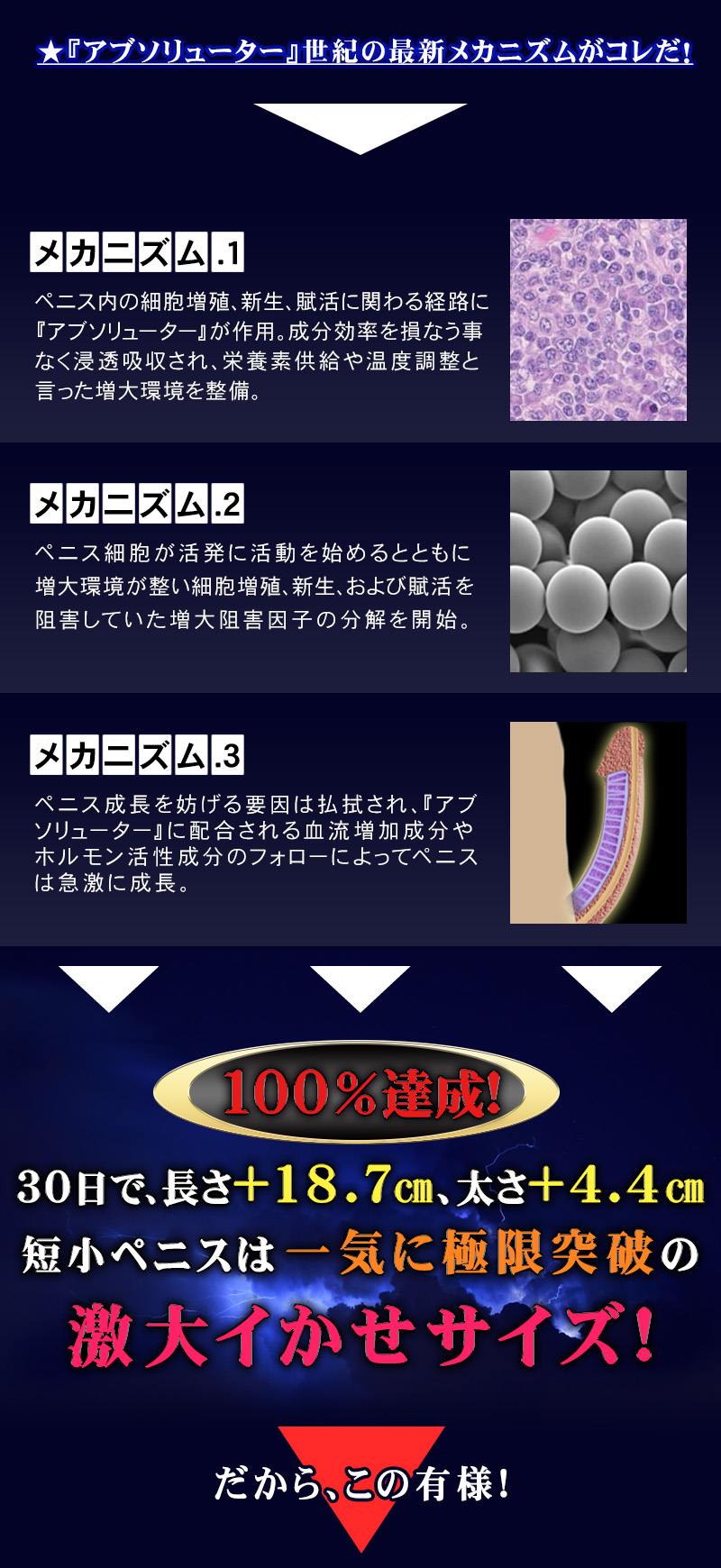 ABSOLUTER（アブソリューター）