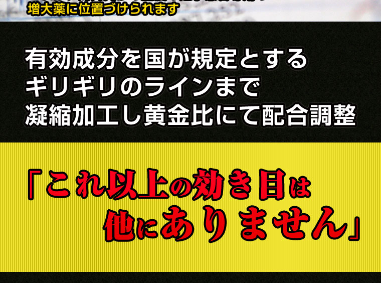 CATEGORY X（カテゴリーエックス）