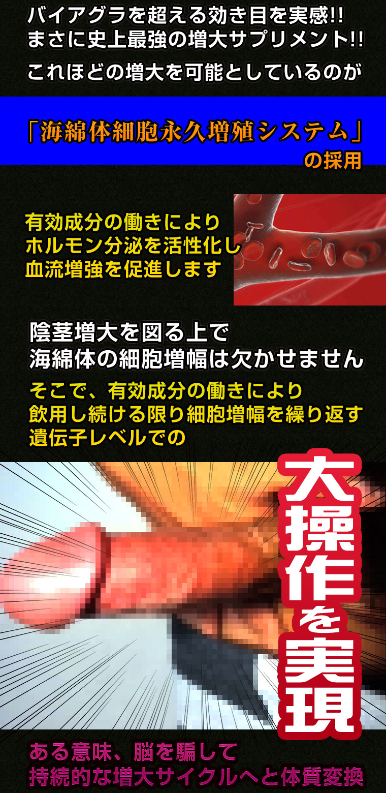 CATEGORY X（カテゴリーエックス）