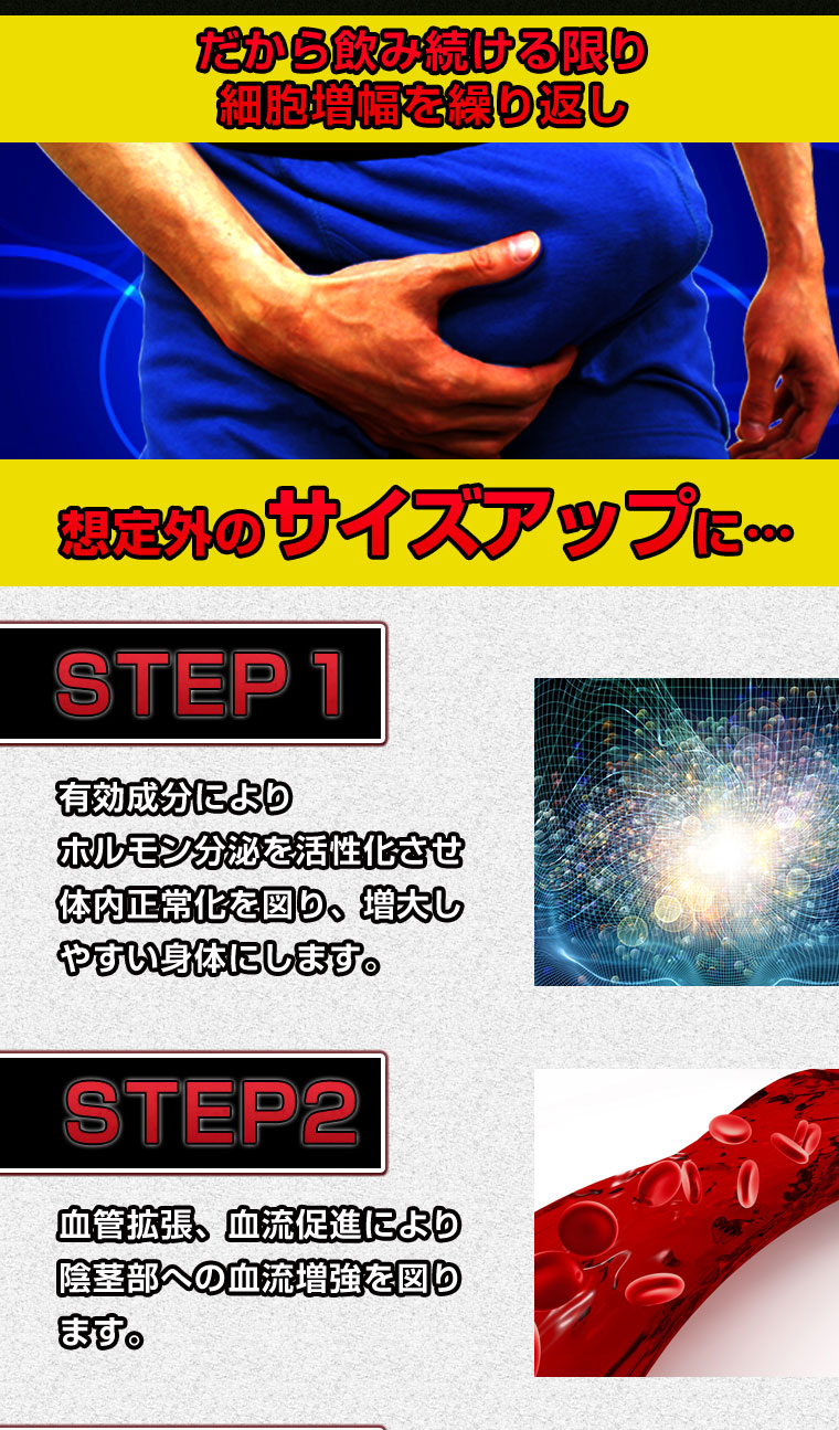 CATEGORY X（カテゴリーエックス）