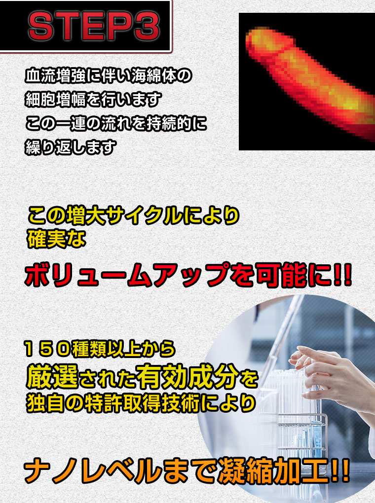 CATEGORY X（カテゴリーエックス）