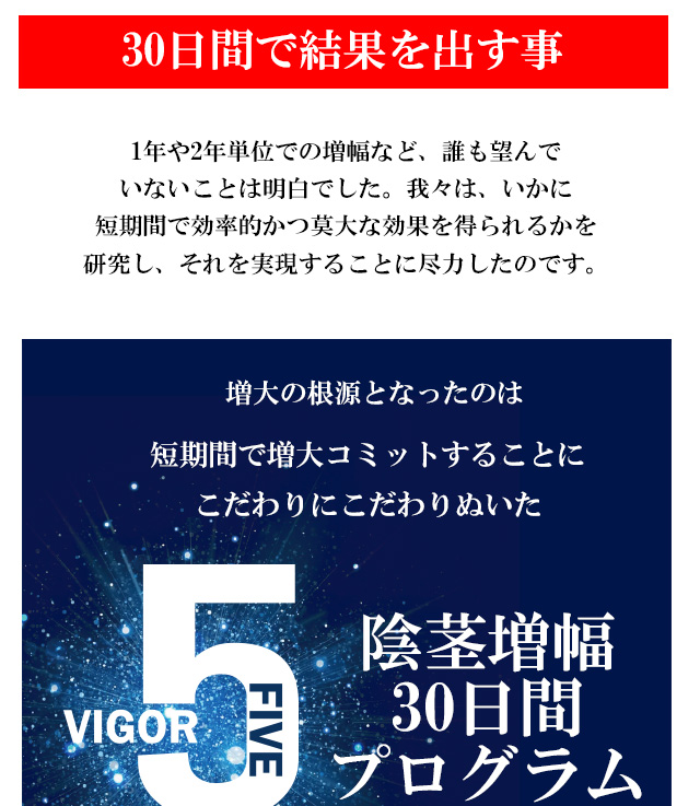 ヴィガーファイブ(VIGOR5)