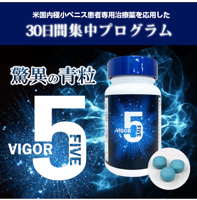 ヴィガーファイブ(VIGOR5)