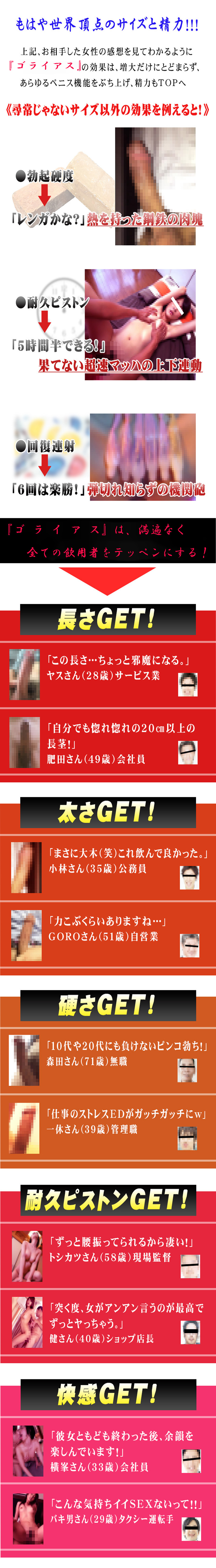 GOLIATH～ゴライアス～