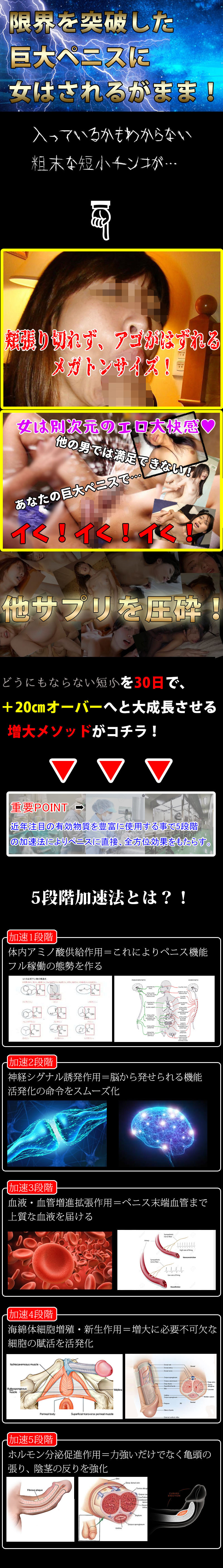 OgreCodeVX(オーガコードVX)