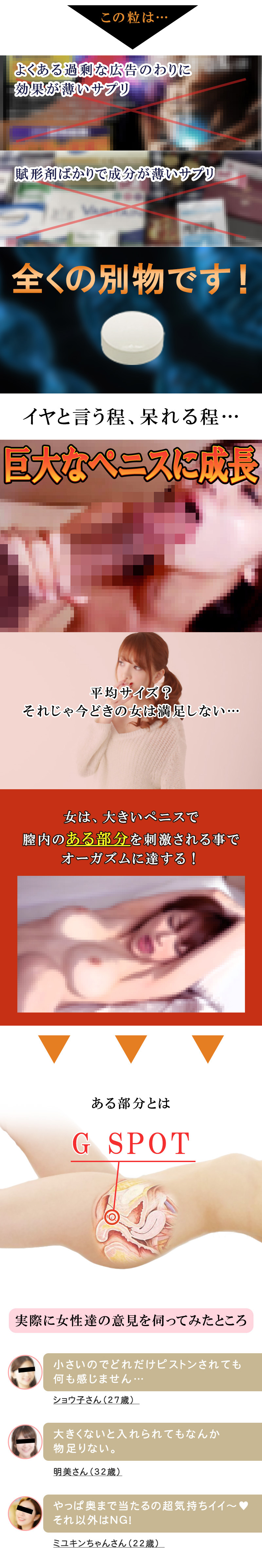 無敵覇王丸（むてきはおうがん）