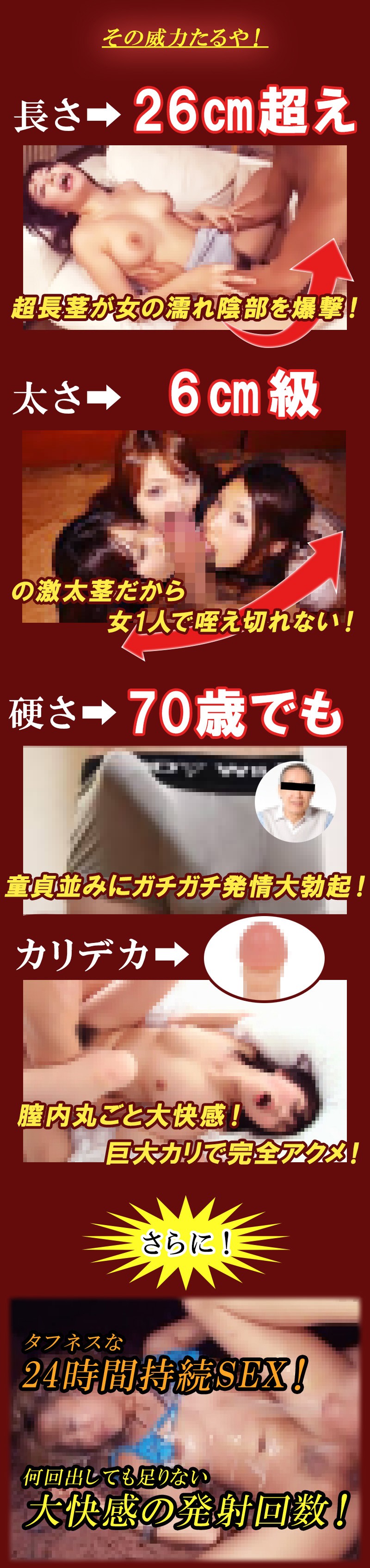 無敵覇王丸（むてきはおうがん）