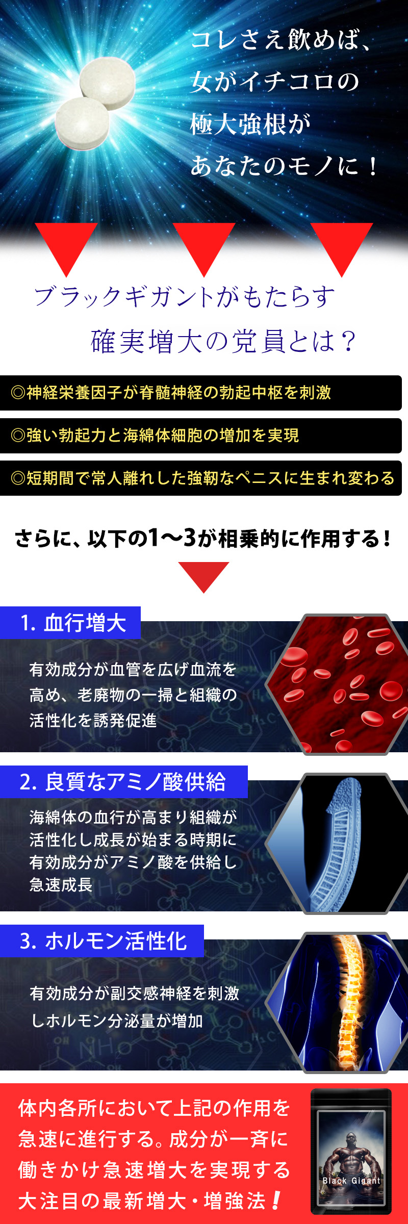 BlackGigant(ブラックギガント)
