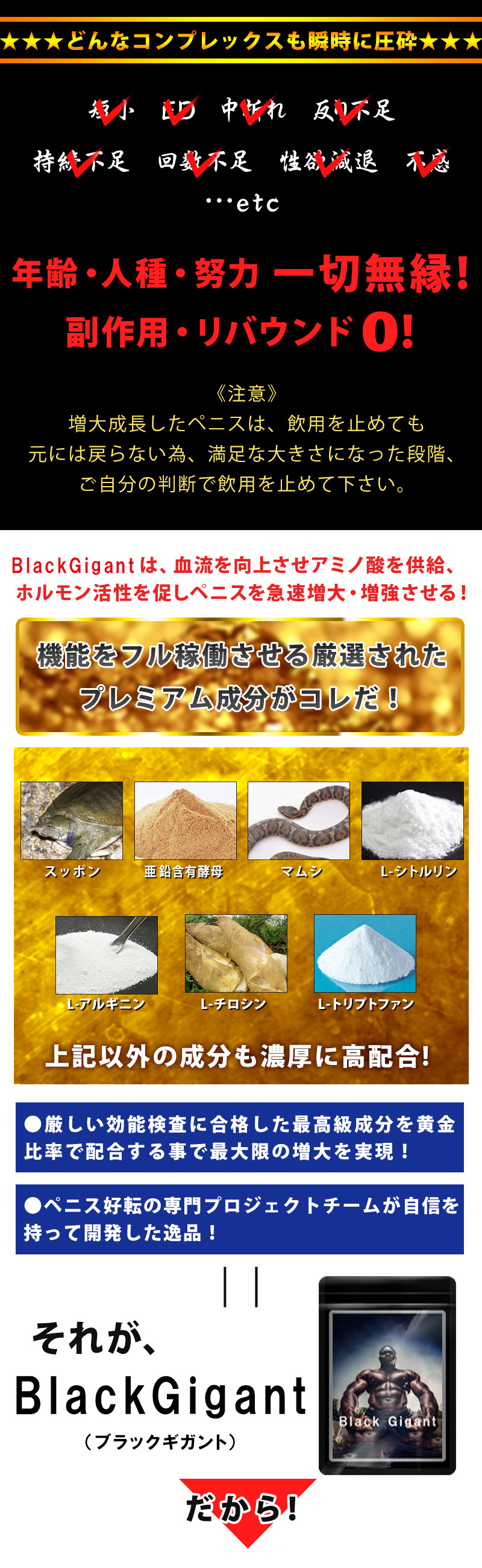 BlackGigant(ブラックギガント)