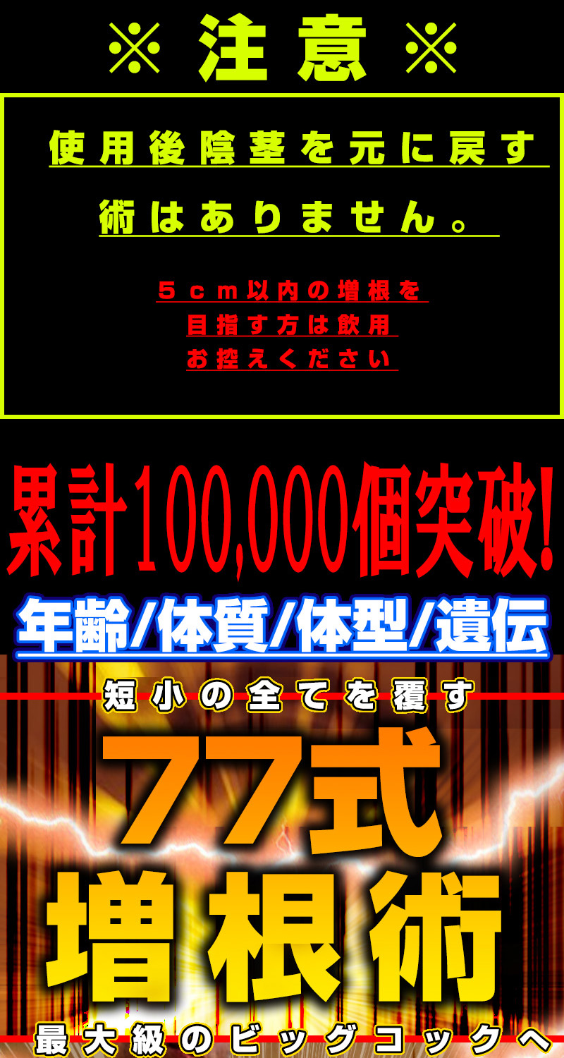 MEGAVolt77（メガヴォルト77）