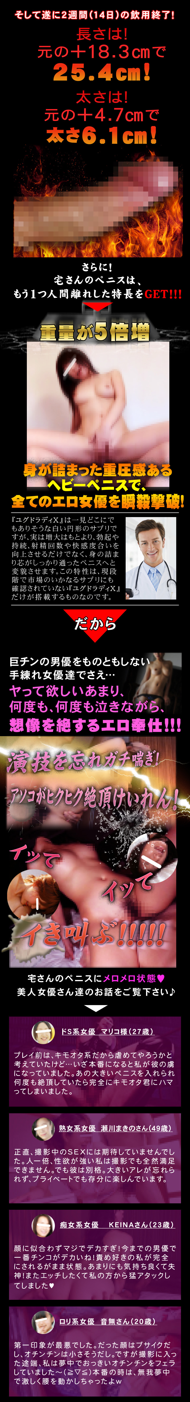 ユグドラディX(YggdradyX)