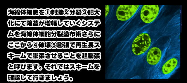 ザ・ブルーモンスターローション