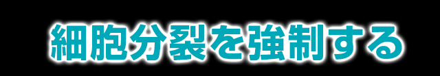 ザ・ブルーモンスターローション