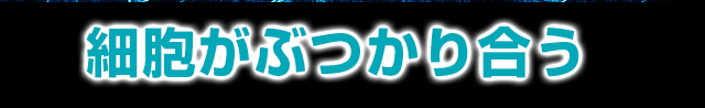 ザ・ブルーモンスターローション